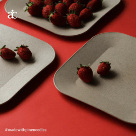 PATIO PLATE - BEIGE (Pack of 4)
